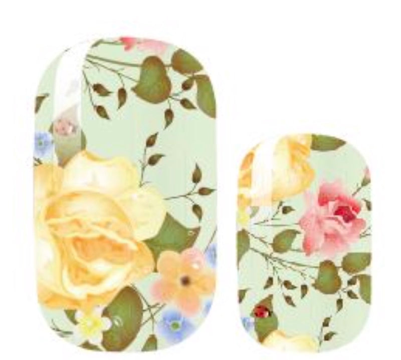 Cabbage Rose