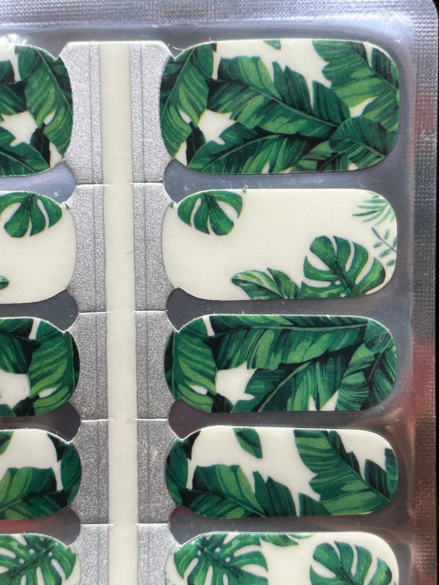 Monstera Mash