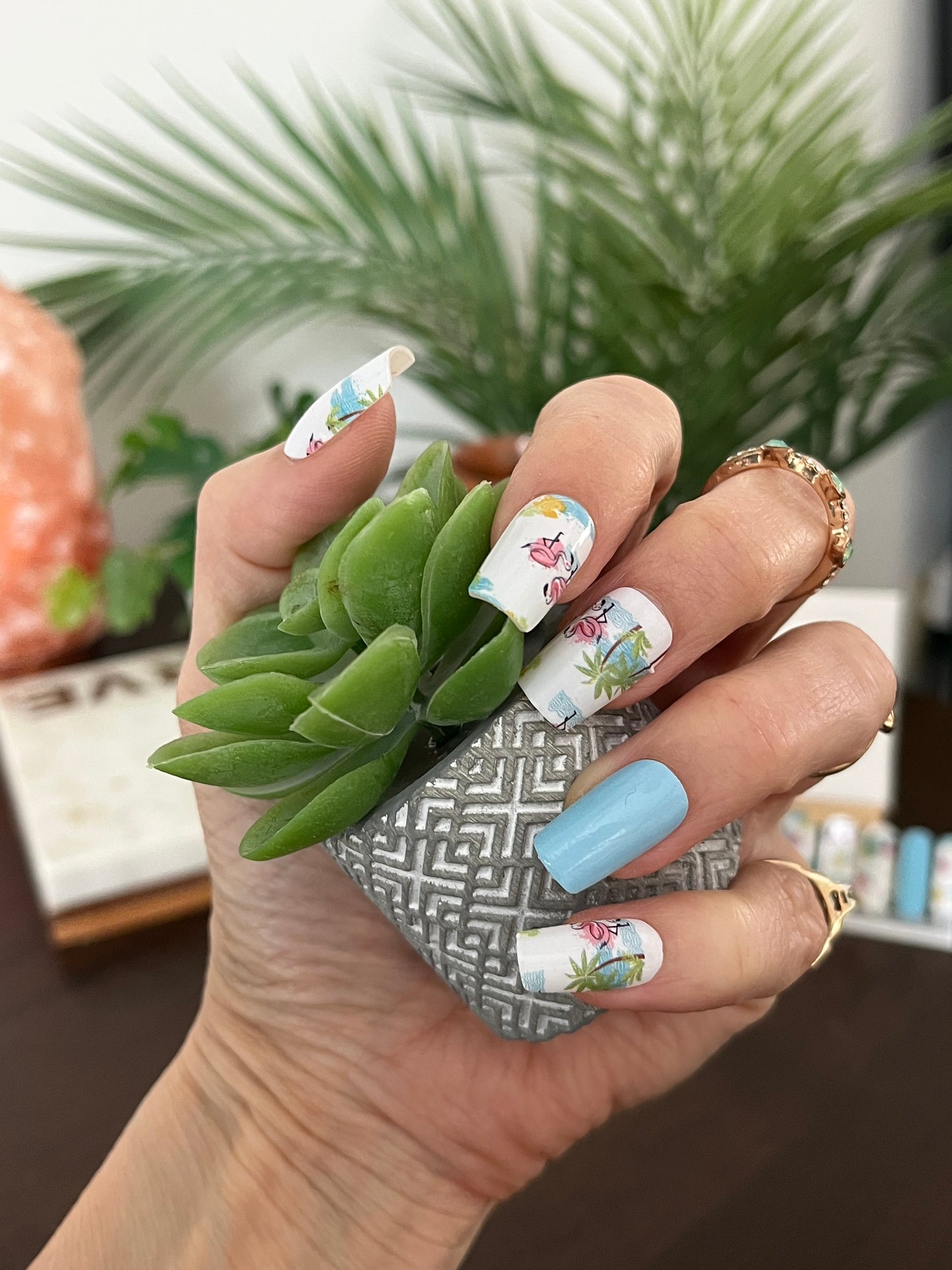 Club Tropicale