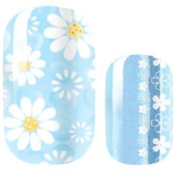 All The Single Daisies