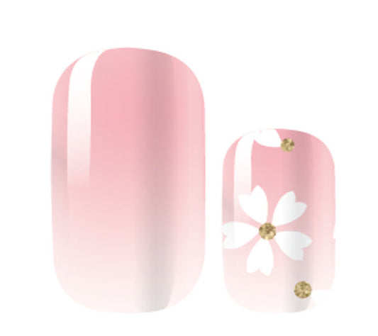 Pink Petals