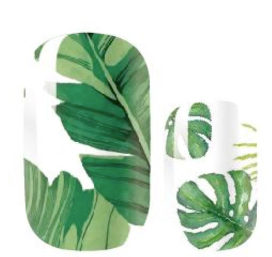 Monstera Mash