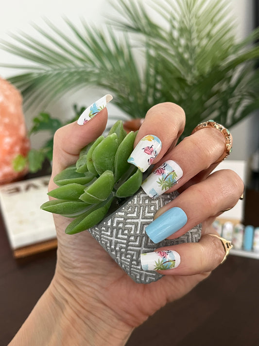 Club Tropicale
